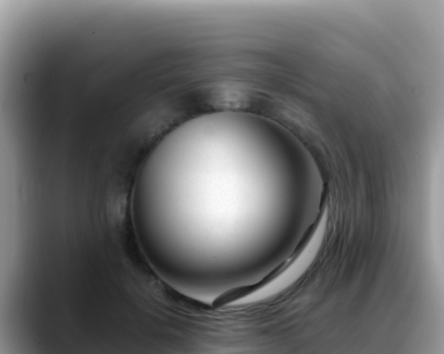 X0000088720652200706071621