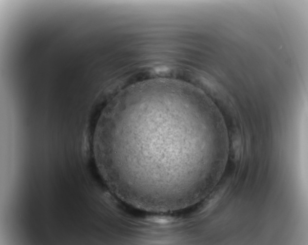 X0000088720654200706071621