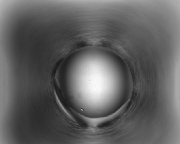 X0000088720658200706071621