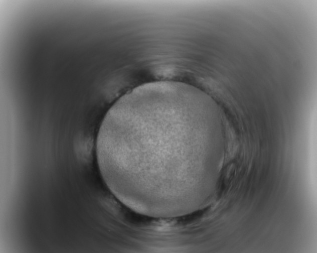 X0000088720660200706071621