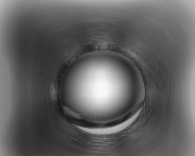 X0000088720661200706071621