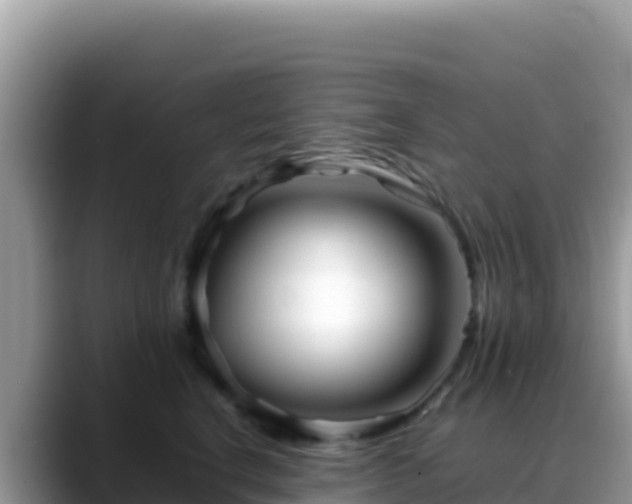 X0000088720664200706071621