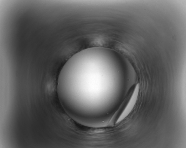 X0000088720665200706071621