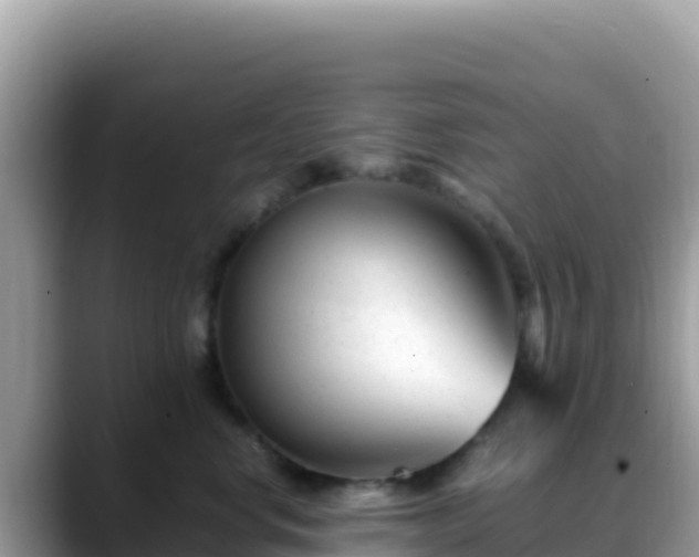X0000088720668200706071621