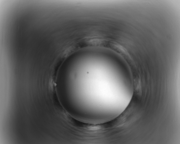 X0000088720669200706071621
