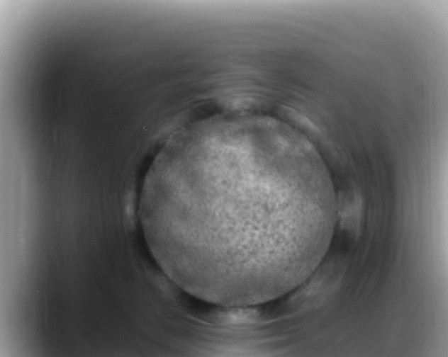 X0000088720670200706071621