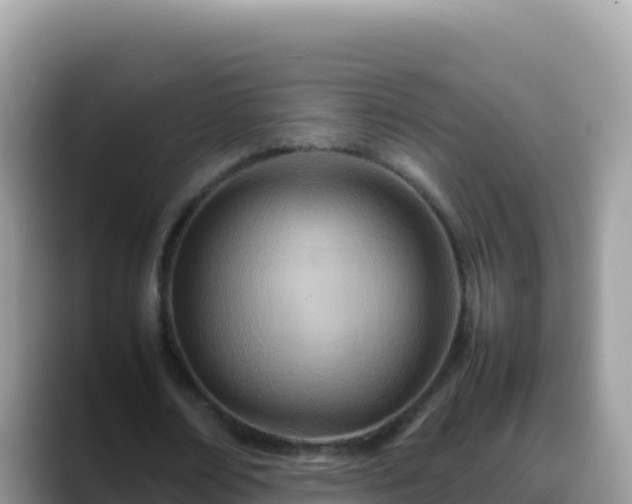 X0000088720674200706071620