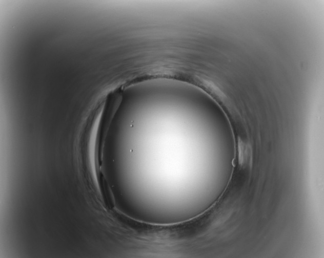 X0000088720675200706071620