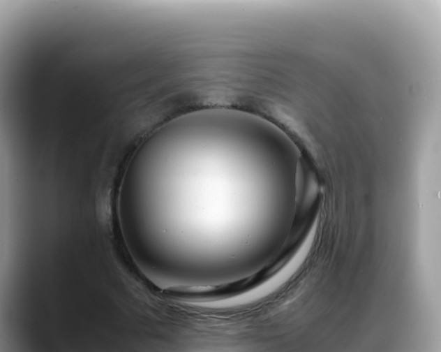 X0000088720681200706071620