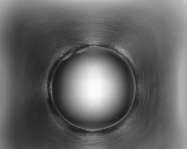 X0000088720682200706071620