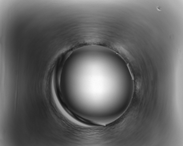 X0000088720684200706071620