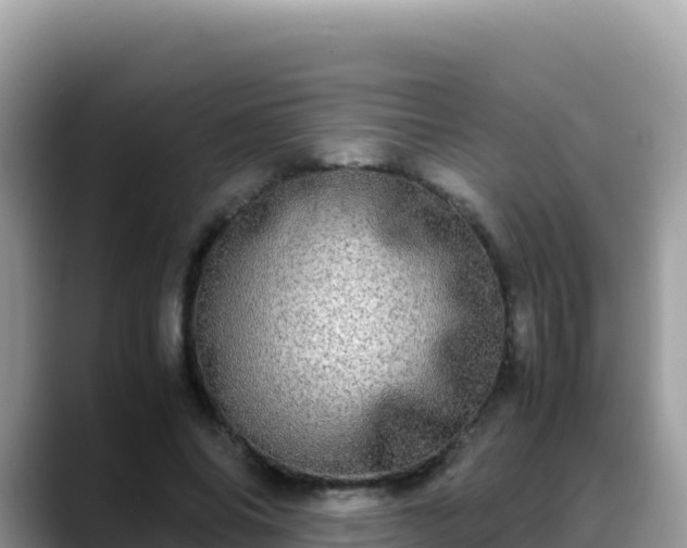 X0000088720686200706071620