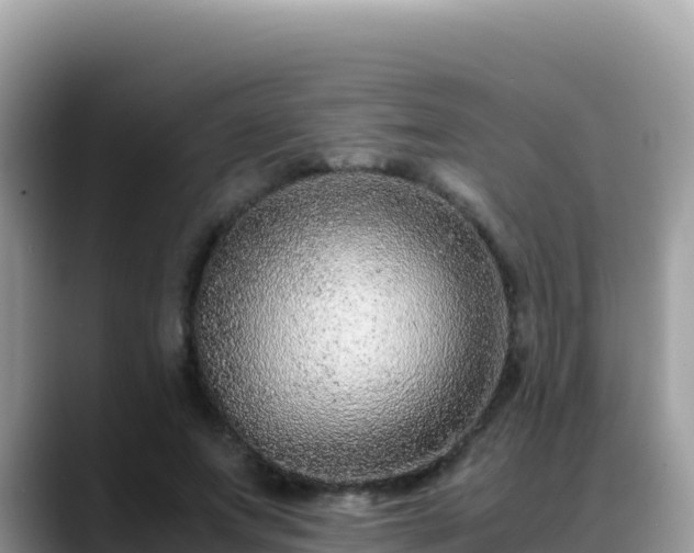 X0000088720687200706071620