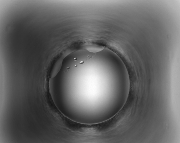 X0000088720689200706071620