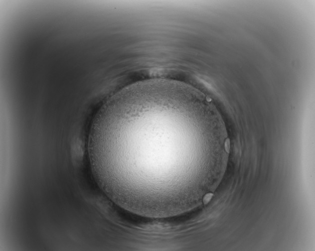 X0000088720691200706071620