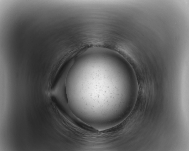 X0000088720692200706071620