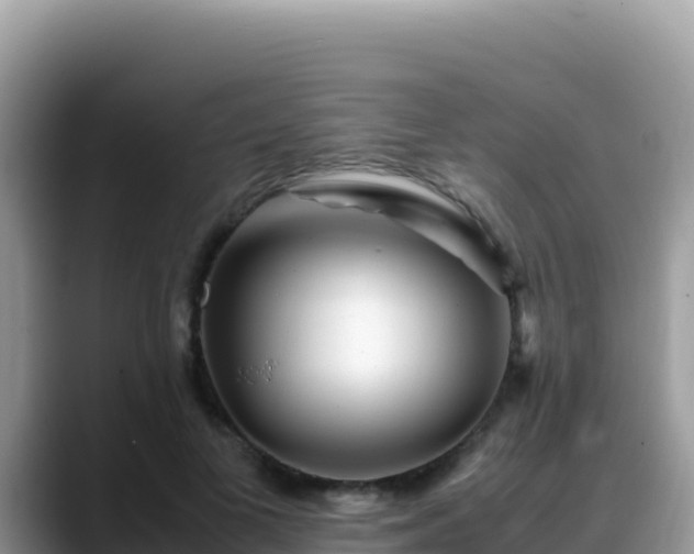 X0000088720693200706071620