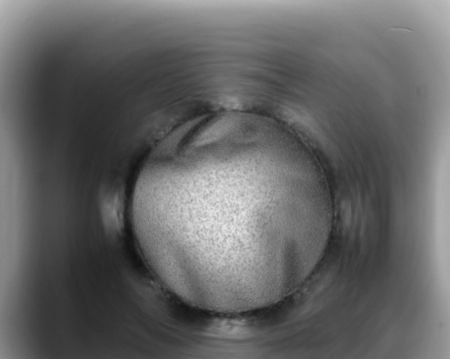 X0000088720694200706071620