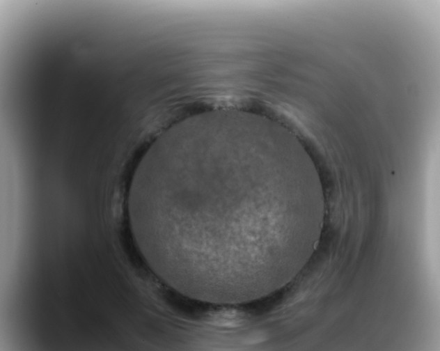 X0000088720695200706071620