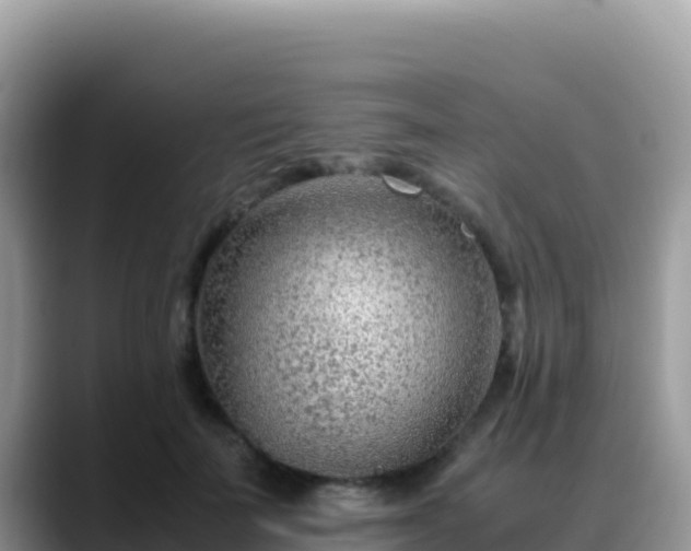 X0000088720699200706071620