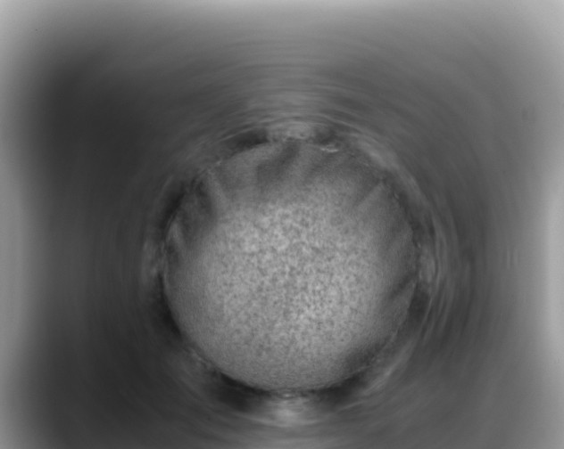 X0000088720701200706071620