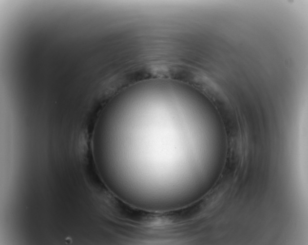 X0000088720702200706071620