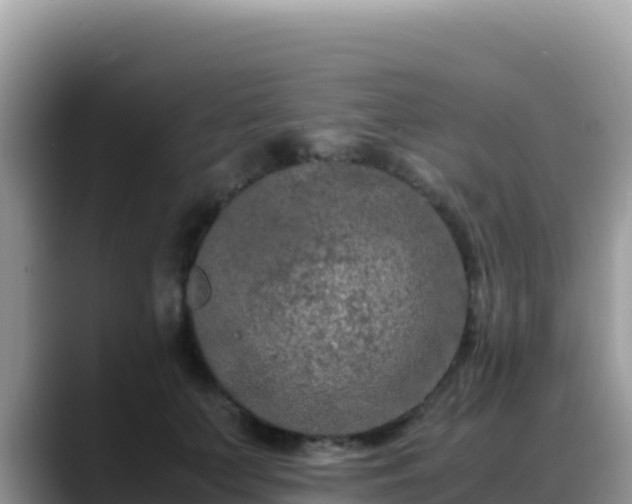 X0000088720703200706071620