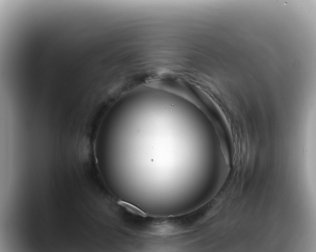 X0000088720704200706071620