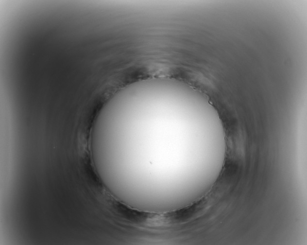 X0000088720705200706071620