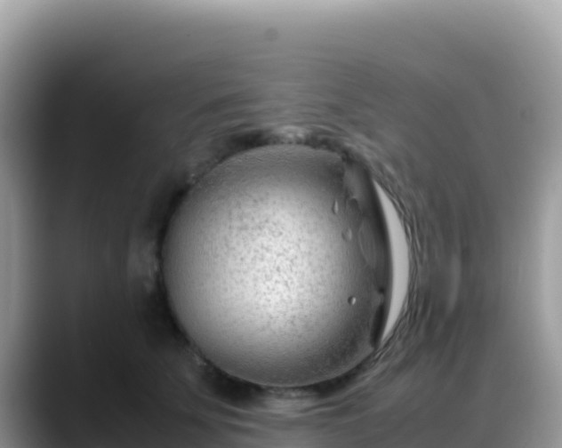 X0000088720707200706071620