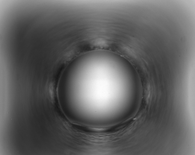 X0000088720708200706071620