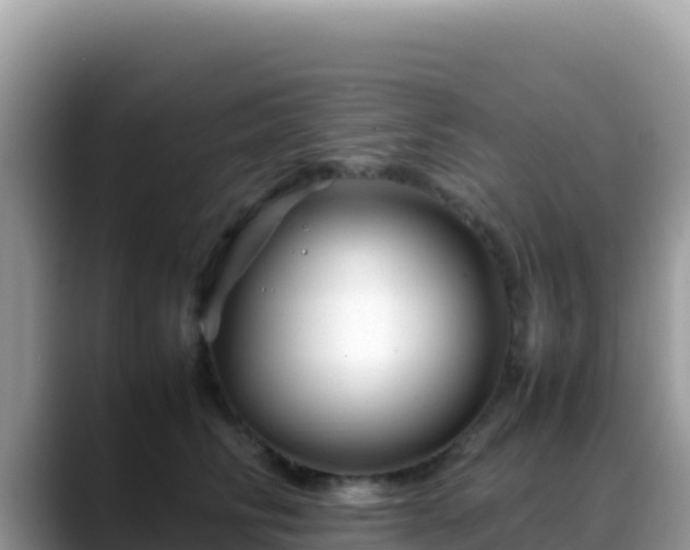 X0000088720710200706071620