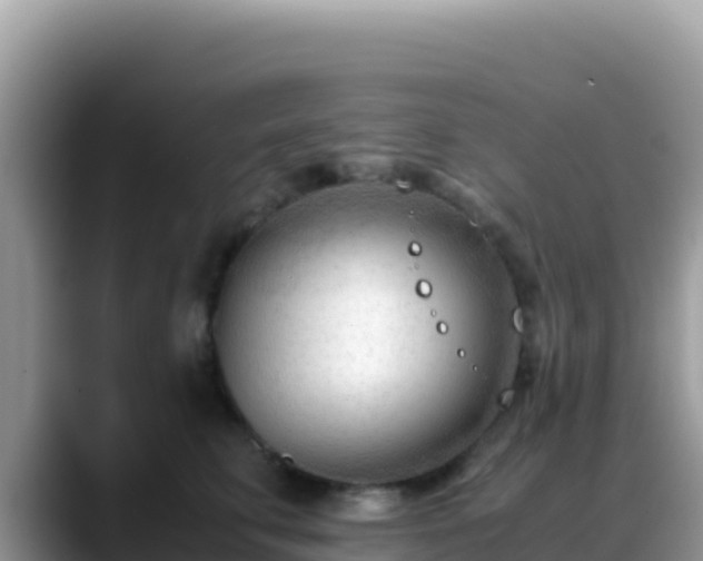 X0000088720711200706071620