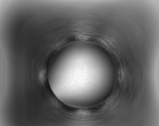 X0000088720714200706071620
