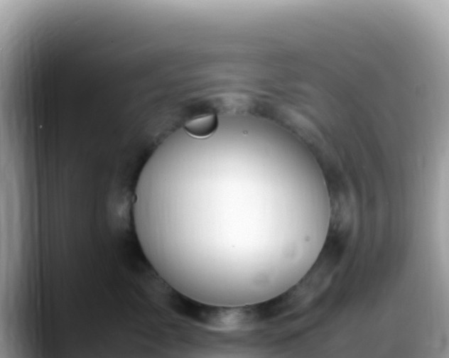 X0000088720717200706071620