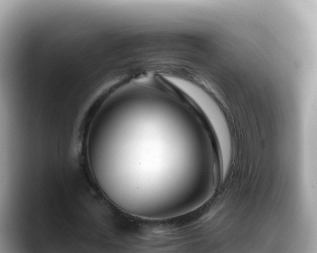 X0000088720723200706071619