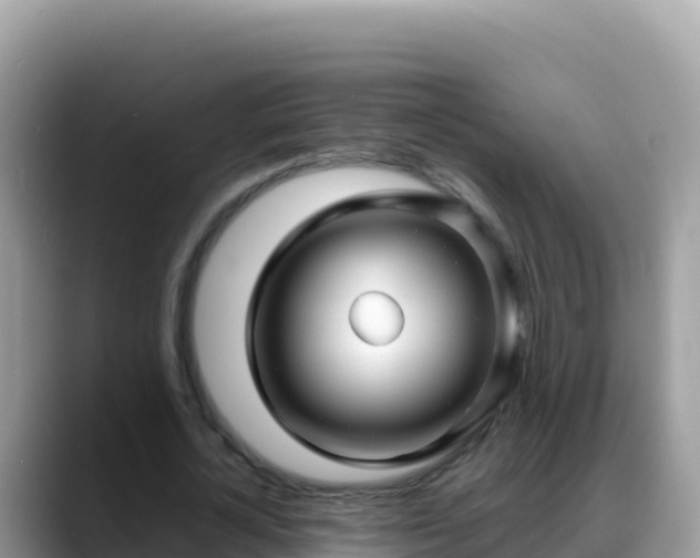 X0000088720724200706071619