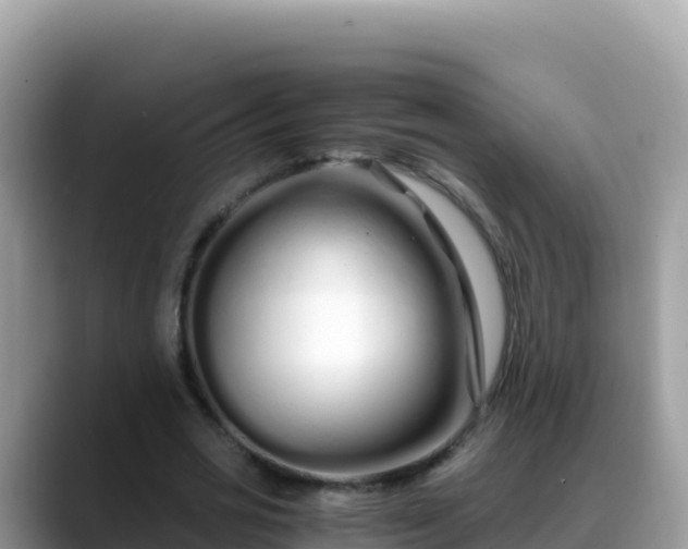 X0000088720725200706071619