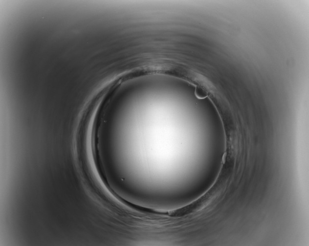 X0000088720726200706071619