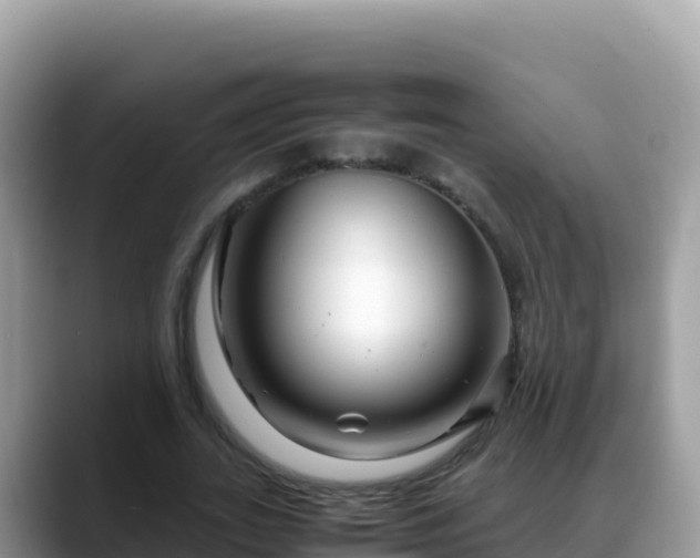 X0000088720727200706071619