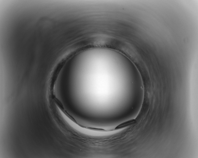 X0000088720728200706071619