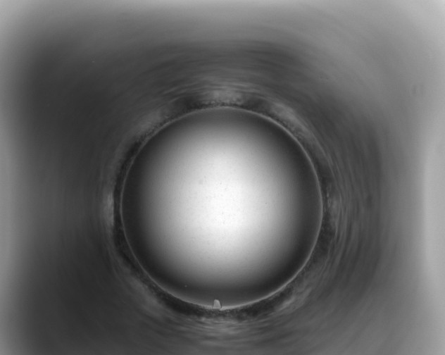 X0000088720729200706071619