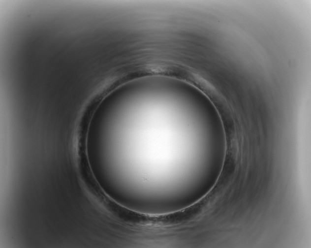 X0000088720730200706071619