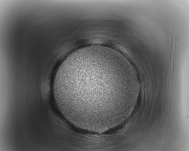 X0000088720731200706071619