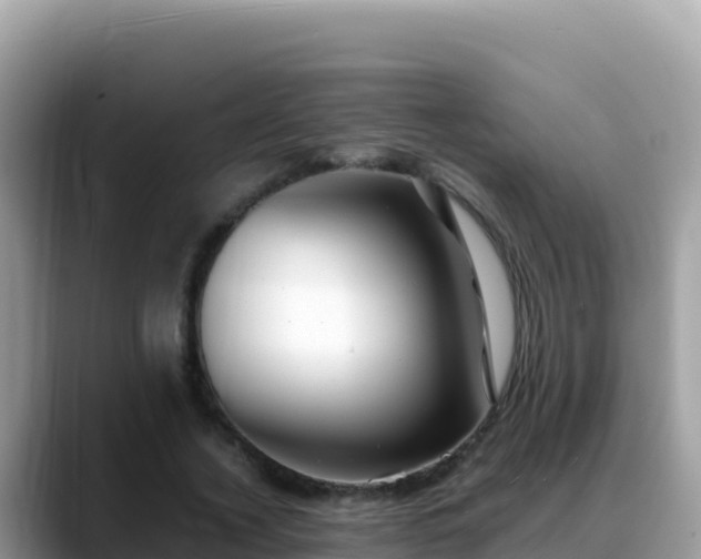 X0000088720732200706071619