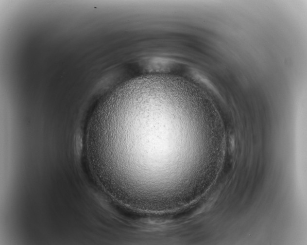 X0000088720733200706071619
