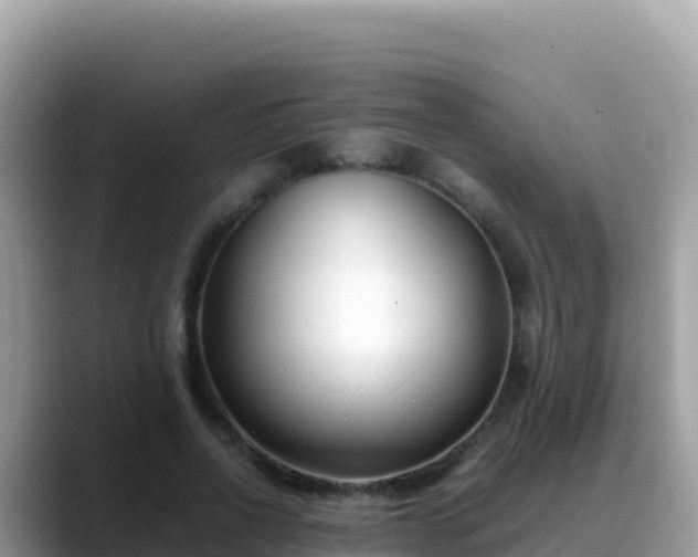 X0000088720734200706071619
