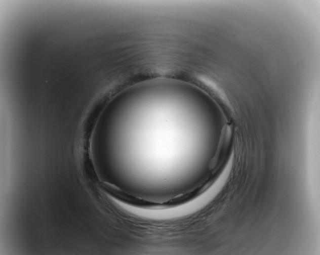 X0000088720736200706071619