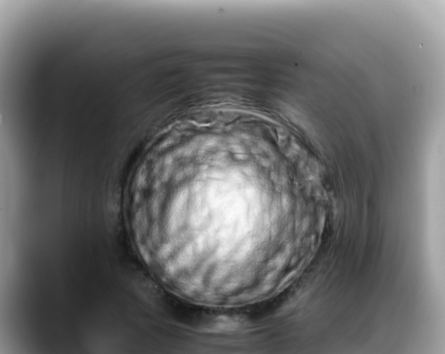 X0000088720737200706071619