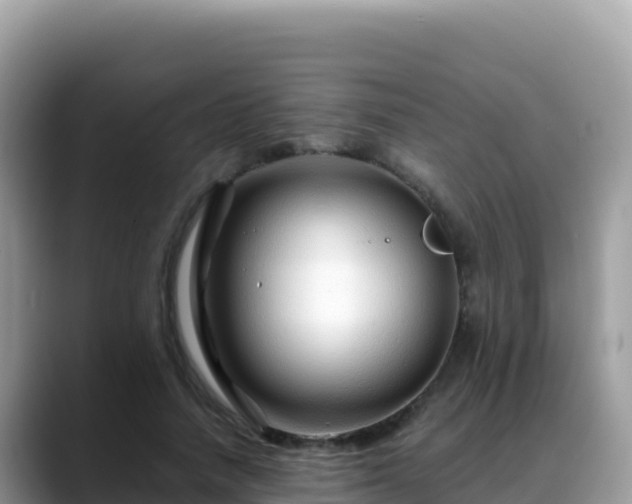 X0000088720738200706071619